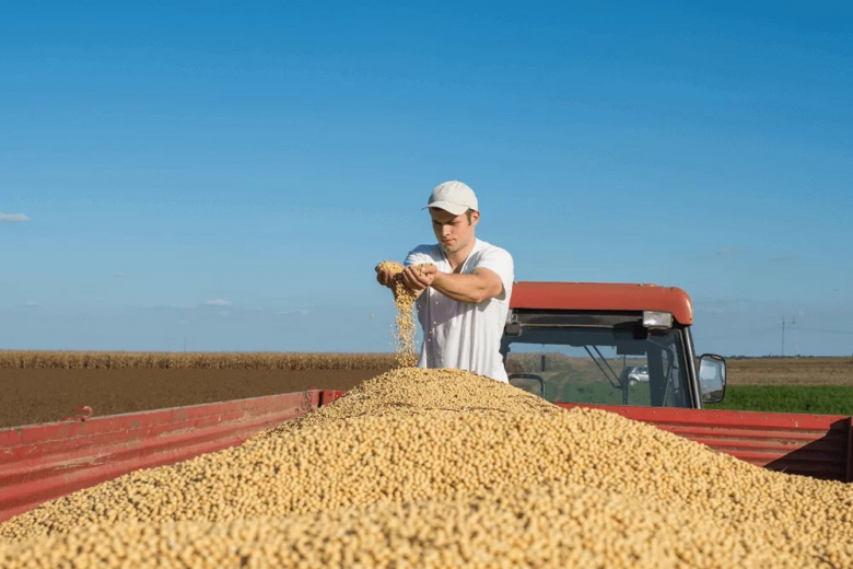 Зерновой совет увеличил оценку мирового урожая сои в 2024-25 сельхозгоду
